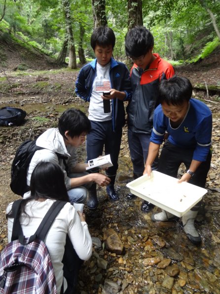 nen2014_1_2_3_10_b