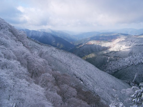 和歌山研究林