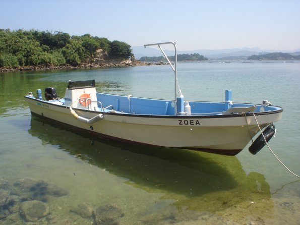 zoea18-3
