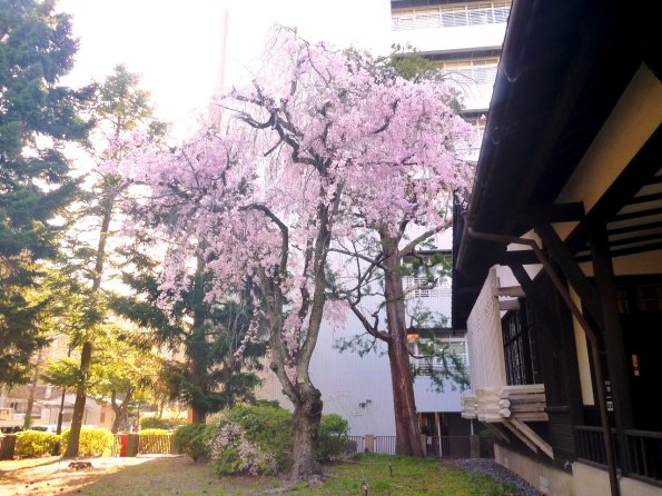 nl57_kitashirakawa03