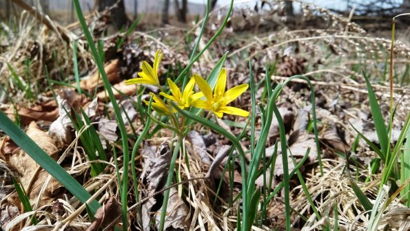 nl60_hokkaido04