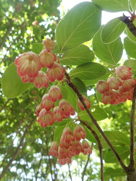 nl60_wakayama06
