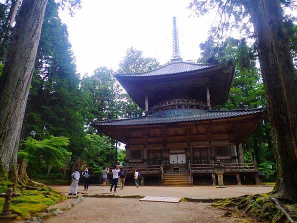 nl61_wakayama05