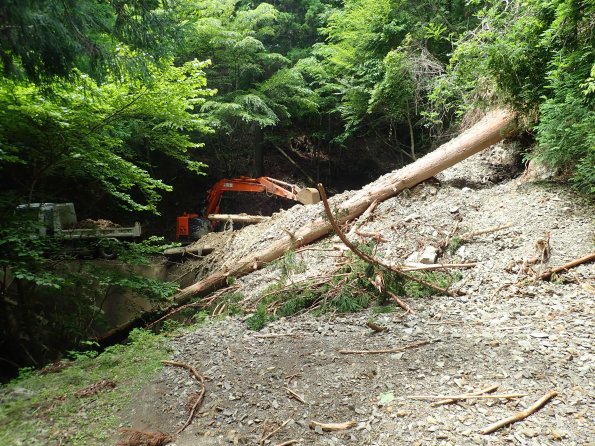 nl61_wakayama06