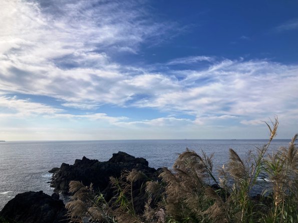 nl62_ooshima04