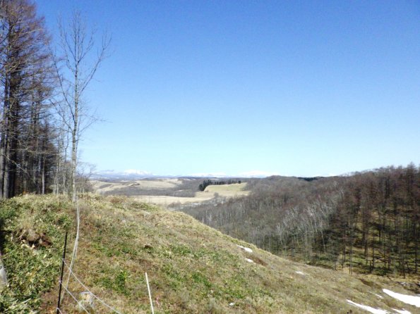 nl63_hokkaido09