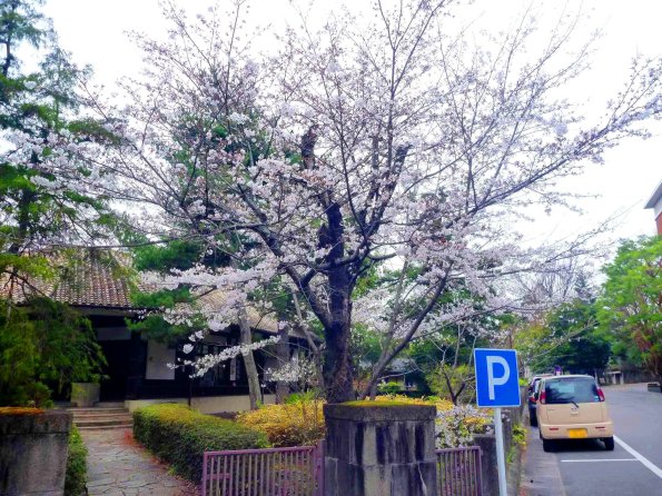 nl64_kitashirakawa05