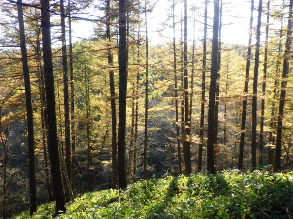 nl65_hokkaido04