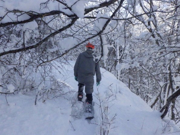 nl66_hokkaido03