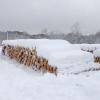 nl66_hokkaido04