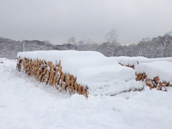 nl66_hokkaido04