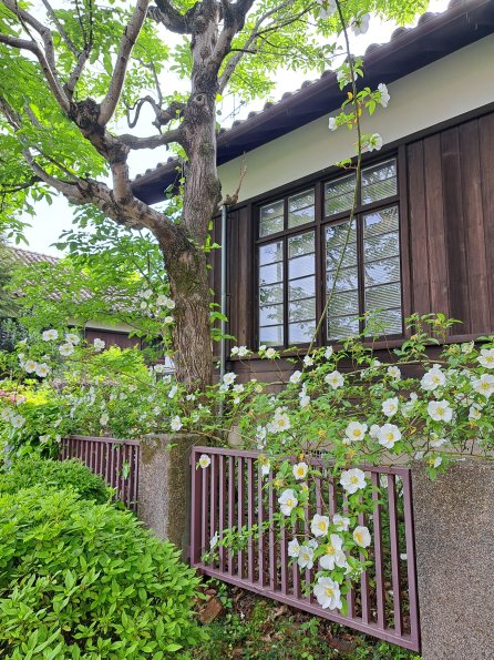 nl66_kitashirakawa04