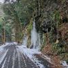 nl66_wakayama01
