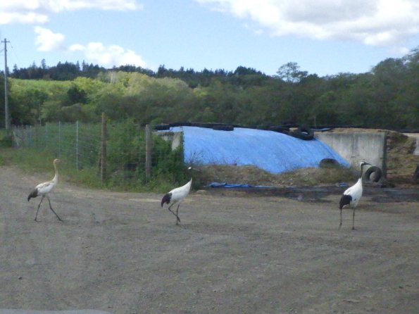 nl67_hokkaido09