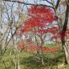 nl68_hokkaido03