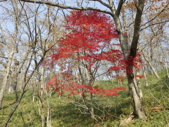 nl68_hokkaido03