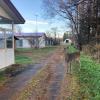 nl68_hokkaido05