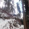 nl68_wakayama02b