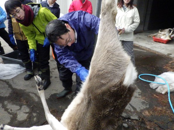 nl69_hokkaido01