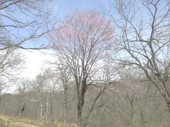 nl69_hokkaido08