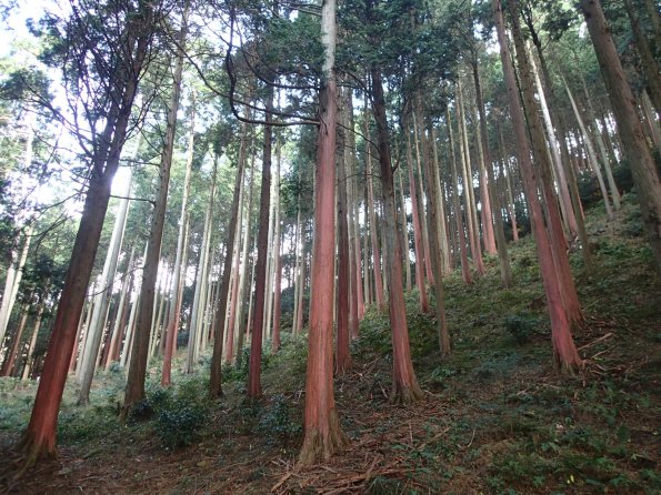 20th_tokuyama01