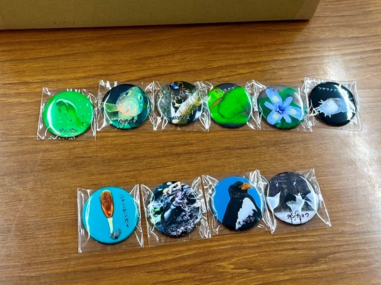 badge_2024