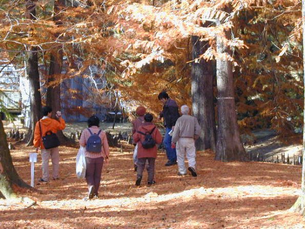 kami2003_07