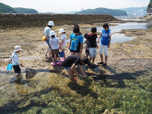 県民カレッジ磯観察体験2