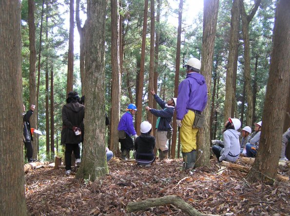 森林体験学習 和歌山研究林 各施設広報写真 広報資料 Fserc映像データベース