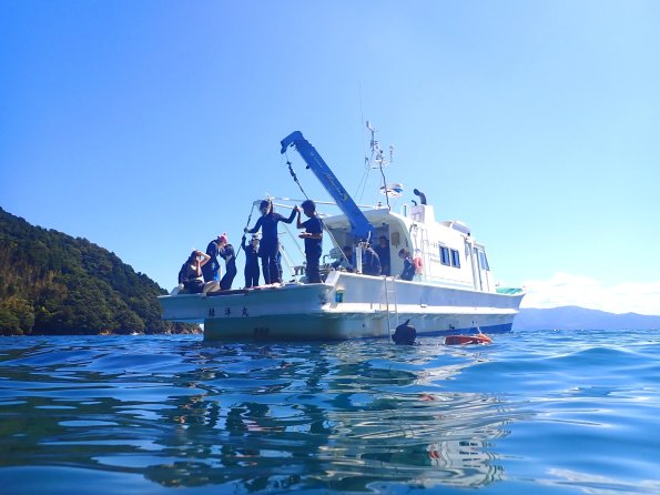 panf2025_miyazu_shimakage