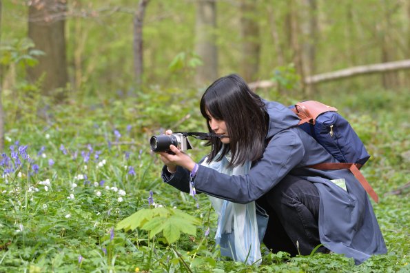 fujii_saori