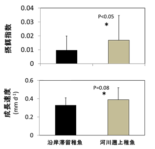 rensai_morisatoumi3_5